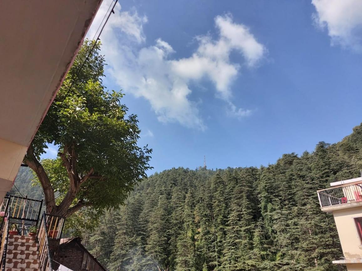 Shimla Pines Homestay Kültér fotó