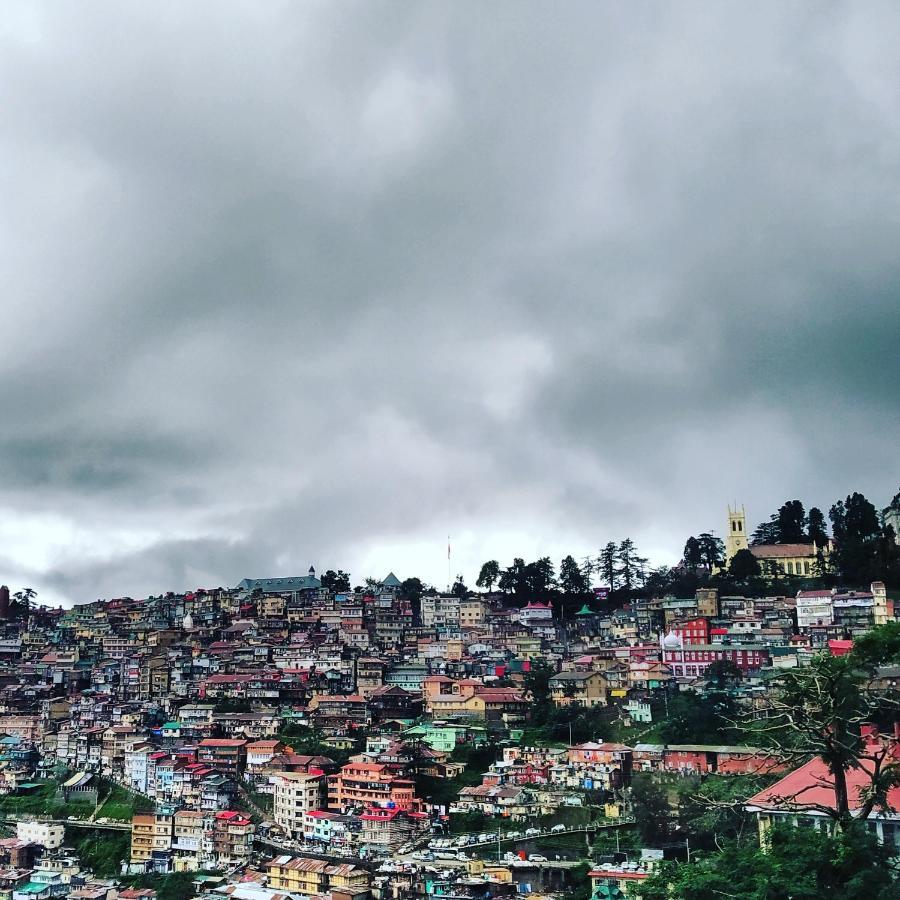 Shimla Pines Homestay Kültér fotó