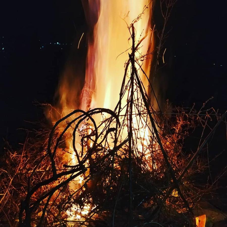 Shimla Pines Homestay Kültér fotó