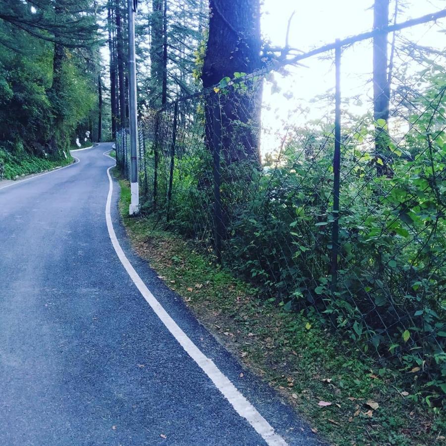 Shimla Pines Homestay Kültér fotó