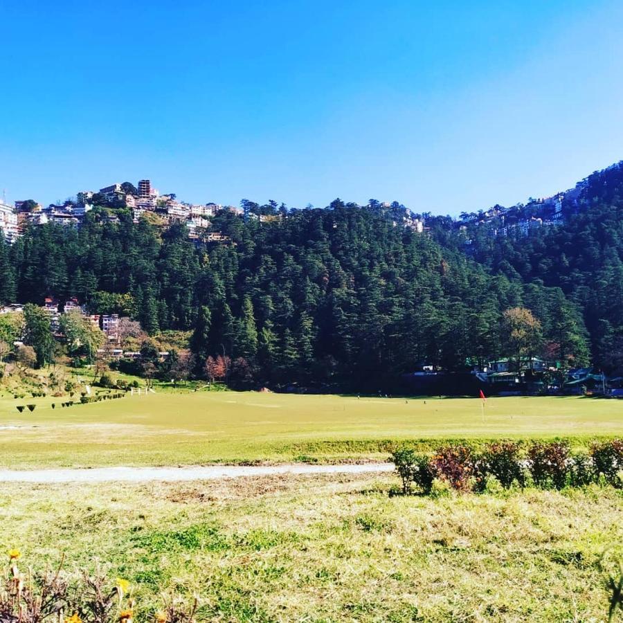 Shimla Pines Homestay Kültér fotó